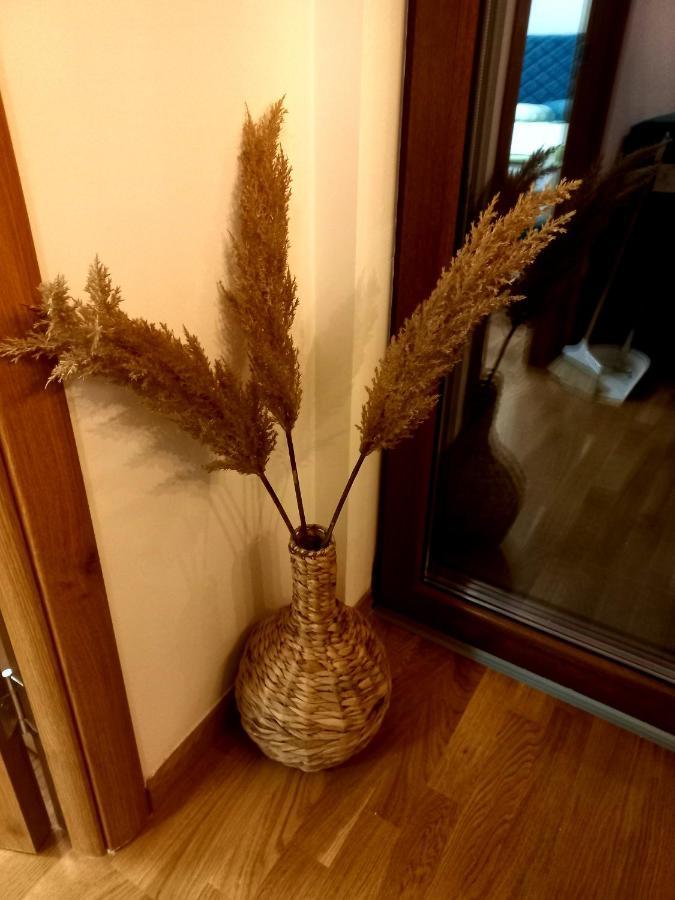 Zlatibor Apartman Luxury & Spa Dijana מראה חיצוני תמונה