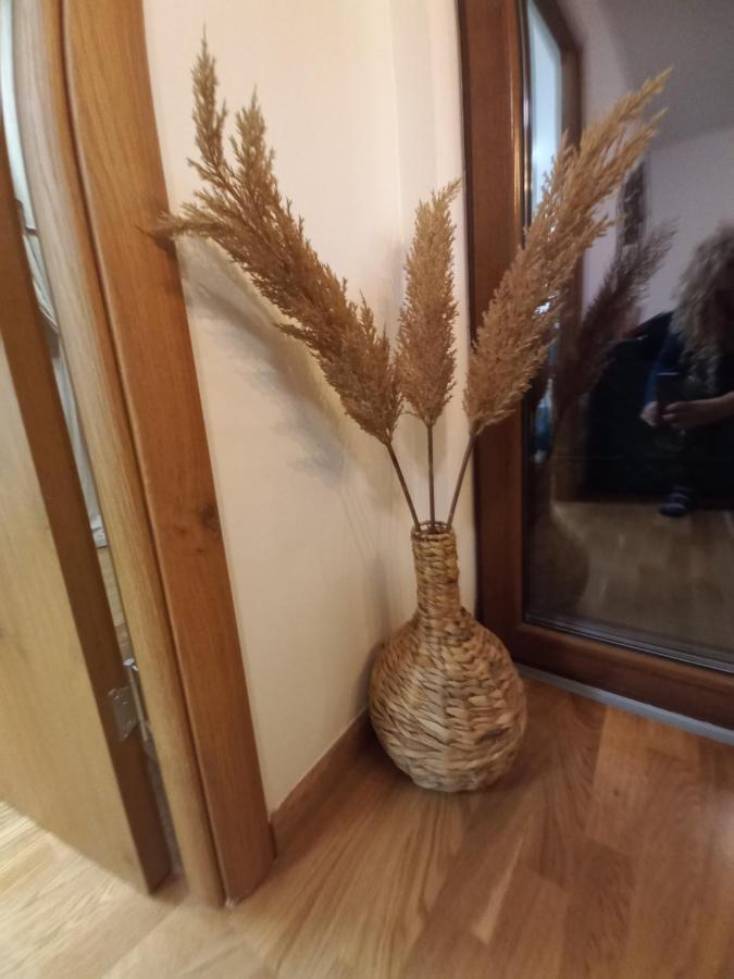 Zlatibor Apartman Luxury & Spa Dijana מראה חיצוני תמונה