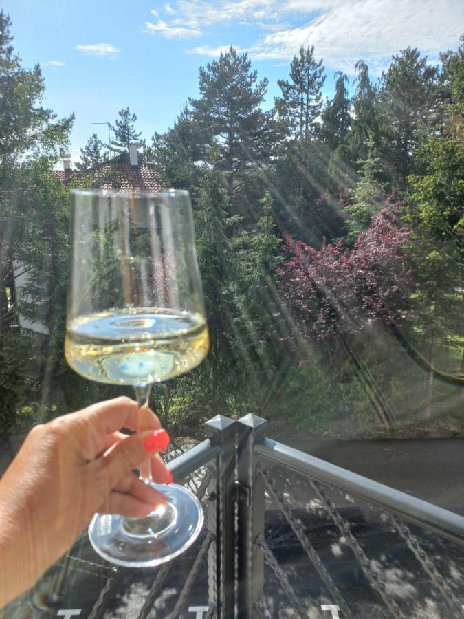 Zlatibor Apartman Luxury & Spa Dijana מראה חיצוני תמונה